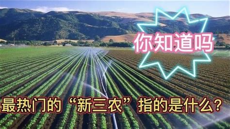 解读学习2019三农工作中央一号文件ppt模板下载-PPT家园