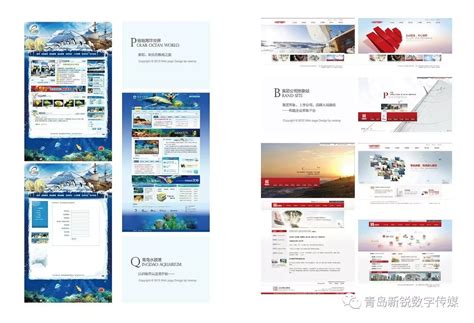 新锐传媒主体业务介绍-青岛新锐数字传媒-网站建设与网页设计专业公司