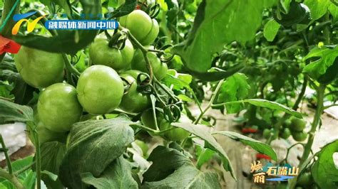 石嘴山市:名优特色农产品亮相广州、福州