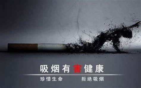 中国烟草_客户案例_网站建设_服务_新鸿儒