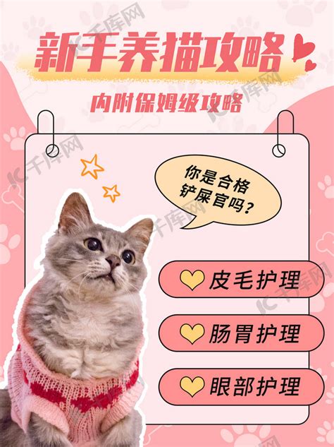 新手养猫攻略大全粉色可爱小红书海报模板下载-千库网