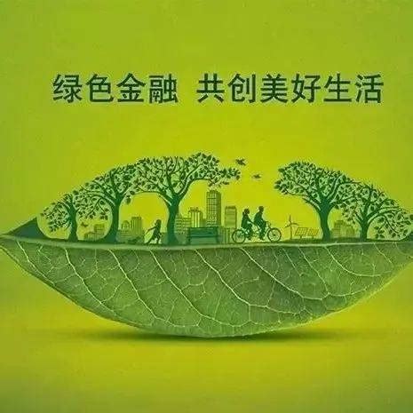 重磅！深圳市绿色金融协会与中央结算公司绿色金融创新中心首次联合发布《粤港澳大湾区绿色债券发展报告2022》_手机新浪网