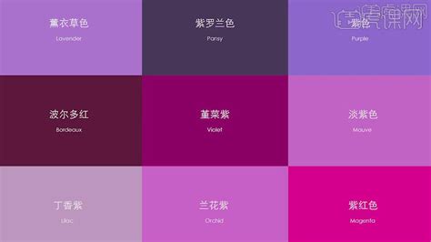 经典配色方案--协调色紫色|平面|其他平面|走味儿的包子 - 原创作品 - 站酷 (ZCOOL)