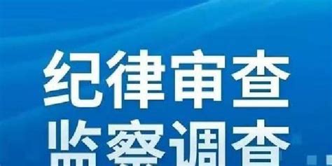 中国农业发展银行江西省分行原特级信贷经理熊建国接受审查调查_手机新浪网