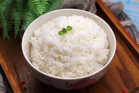 米饭和面条哪个热量高-百度经验