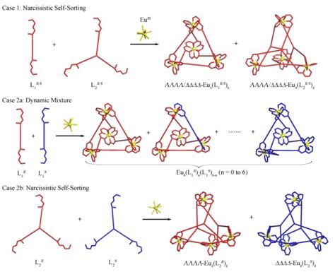 限制几何构型茂金属催化剂及其制备方法与应用与流程
