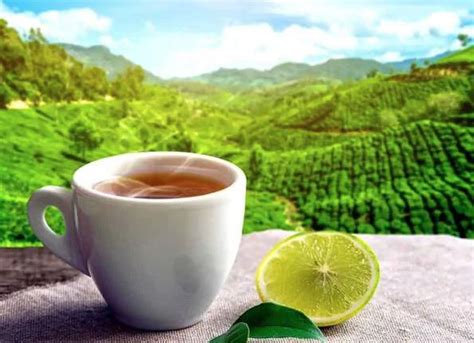 茶叶微信营销技巧：茶叶市场如何快速精准获客，吸引客户买买买？_茶市