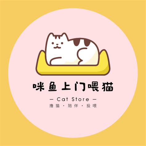 深圳上门喂养：春节收入过万，陪200只猫过年