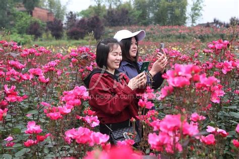 四川广安：乐游大地花谷 享受与花为伴-人民图片网