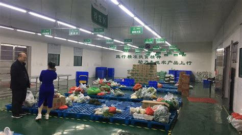 农贸市场食品蔬菜配送中心青菜水果包装生产线车间 实拍视频素材