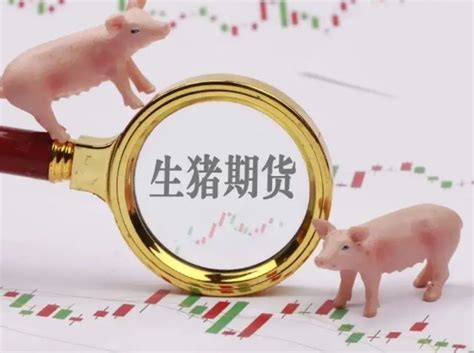 【生猪期货专题-03.17】现/期/股，生猪市场的经验和机会 - 知乎