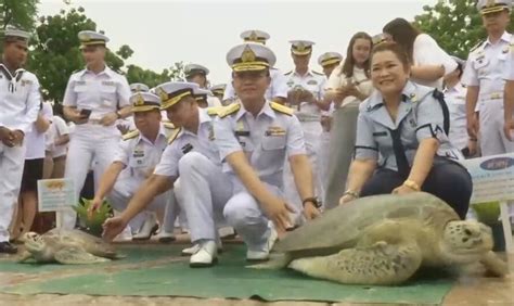 为国王庆生 泰国放生上千只海龟|泰国|国王|海军_新浪新闻