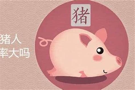 属猪女2023年每月运势及运程 属猪的女人今年财运怎么样_生肖_若朴堂文化