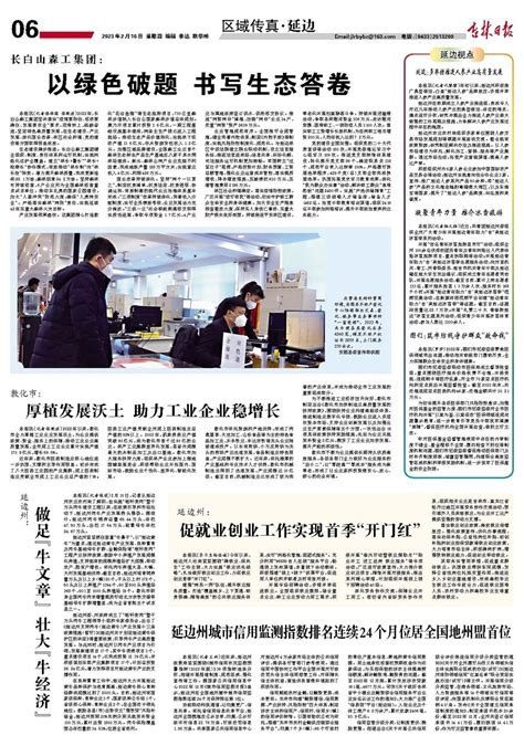 吉林日报-延边：多举措推进人参产业高质量发展