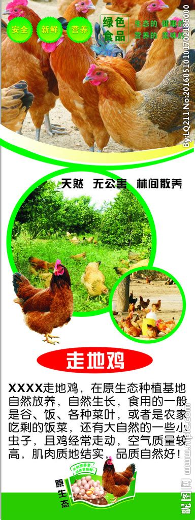 走地鸡 LOGO 农家鸡设计图__广告设计_广告设计_设计图库_昵图网nipic.com