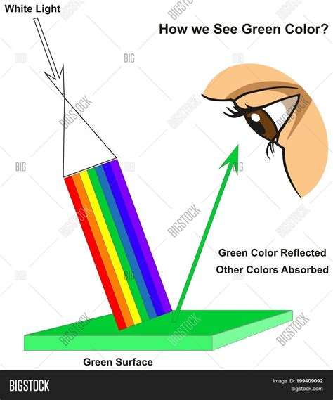 The Fascinating Science Behind Color Perception | Datacolor