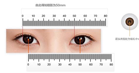 人的瞳孔距离一般是多少？_亿超眼镜网