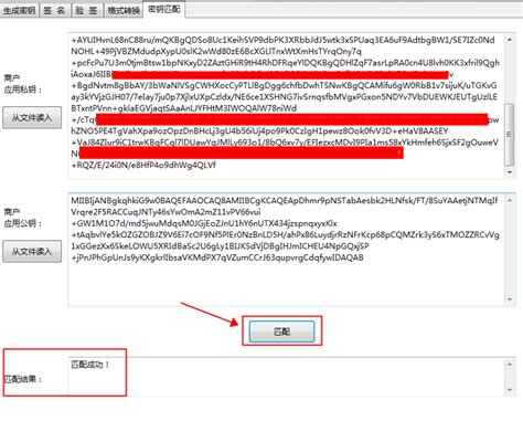 如何使用“签名验签工具”匹配密钥正确性-WinFrom控件库|.net开源控件库|HZHControls官网