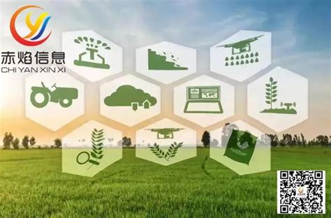 生态循环农业来了！重固以绿色发展引领乡村振兴【附视频】-搜狐大视野-搜狐新闻