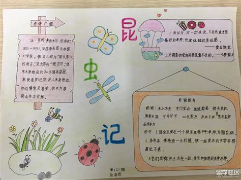 七年级名著《昆虫记》阅读手抄报图片- 老师板报网
