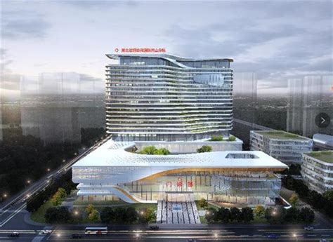 武汉新城中心片区首家大型综合三甲医院开工，一期预计2025年投用_武汉_新闻中心_长江网_cjn.cn