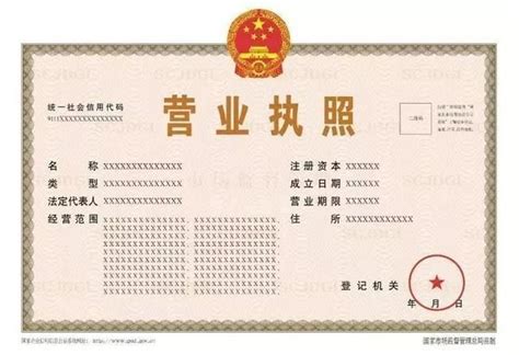 申请营业执照的字号怎么填写(申请营业执照上的中文字号是写什么)-IT大王