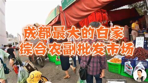 宝山最大的花卉市场,上海花卉批发市场,上海最大的苗木基地_大山谷图库