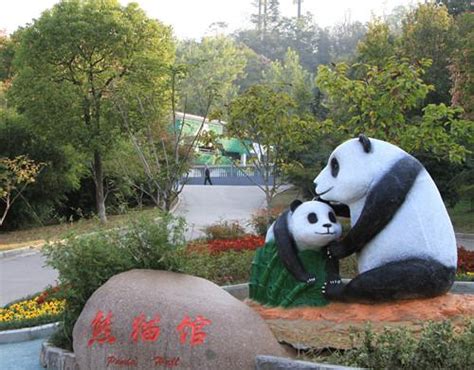 红山动物园下午一只大熊猫动物园睡觉趴着摄影图配图高清摄影大图-千库网