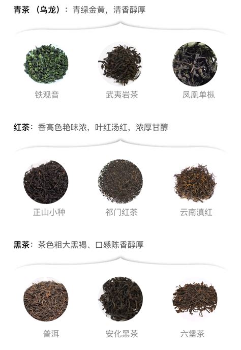 绿茶红茶乌龙茶的区别【详细对比介绍】-润元昌普洱茶网