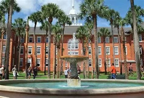 美国南佛罗里达大学排名及优势解析 - 兆龙留学
