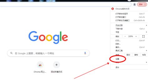 谷歌浏览器怎么设置中文？Chrome浏览器语言设置方法-天极下载