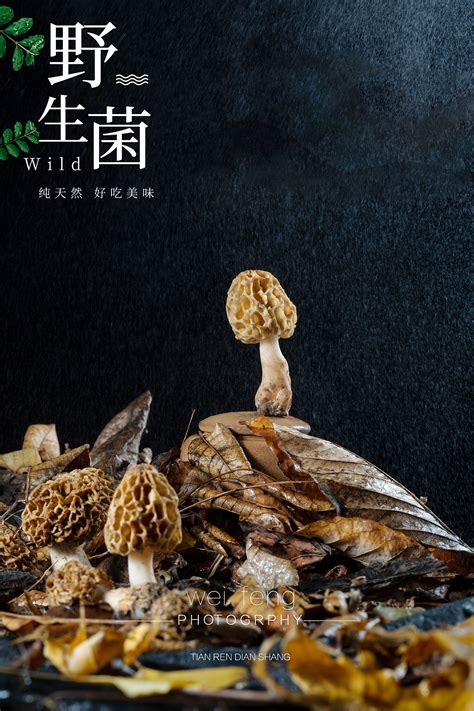 楚雄南华2022年野生菌美食文化节开幕，十大“菌王”出炉！