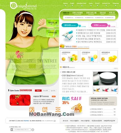 韩国时尚女性网站模板免费下载 - 模板王