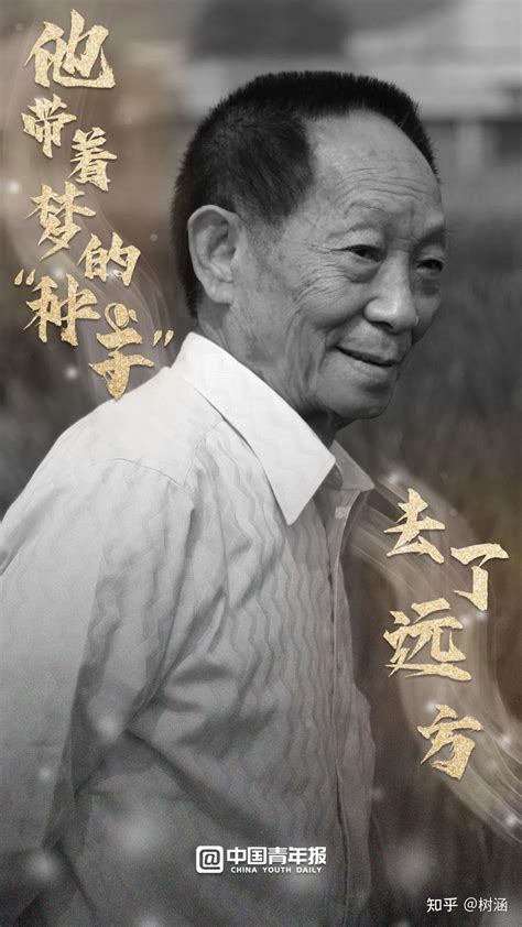 “杂交水稻之父”袁隆平逝世，他一生传奇、贡献巨大，根据他的遗愿，丧事从简办理