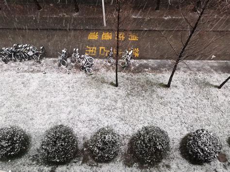 太美了！重庆多地迎2020年入冬第一场雪҈ 雪҈ 雪҈凤凰网川渝_凤凰网