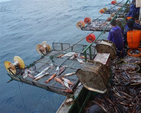海南省南海现代渔业集团有限公司
