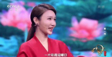 中国诗词大会第三季第四场_腾讯视频