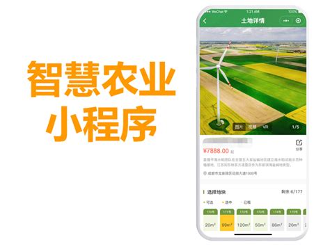 云南农产品批发商城小程序：绿色农产品平台_凤凰网科技_凤凰网