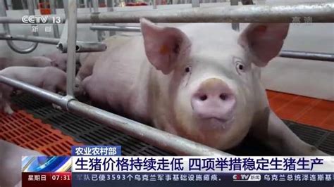 农业农村部：生猪生产供给充足 价格仍将持续下行 - 行业动态 - 新湖南