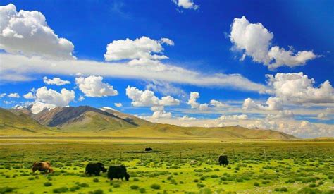 中国四大草原，内蒙古有两个新疆一个_巴拉排行榜