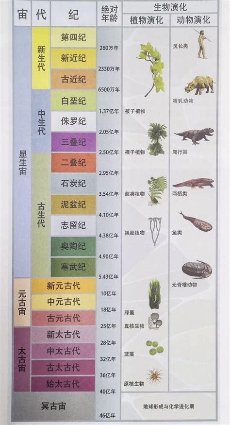【专题复习】高考地理将考的地质年代表及相应动植物出现时代与进化程序表_同位素