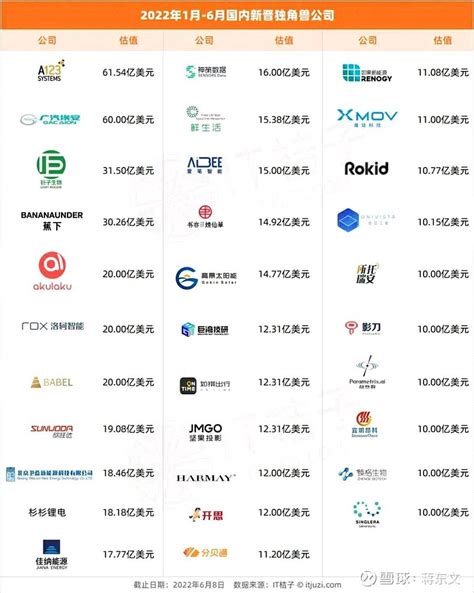 全球10大独角兽公司排名出炉 中国公司独占6名__财经头条