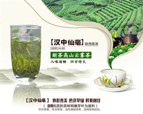 2023年新茶汉中仙毫明前茶午子仙毫绿茶陕青散装茶叶春茶高山茶-阿里巴巴