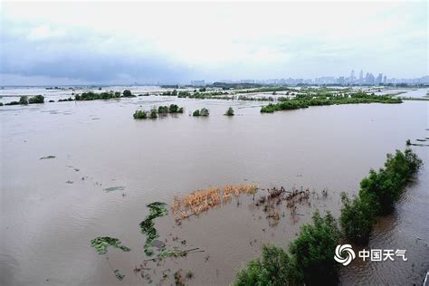 图集丨抗洪抢险，宁远政协委员在行动 - 新湖南客户端 - 新湖南