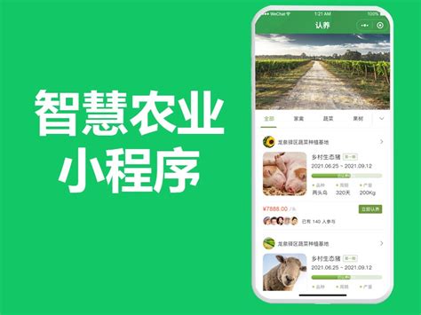 做贵州农副产品抖音号的策划案Word模板下载_编号qmvzjypn_熊猫办公