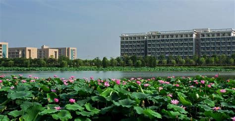 武汉科技大学王牌专业是什么_有哪些专业比较好？_学习力