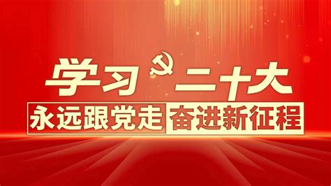 高举队旗跟党走 争做新时代好队员-宁夏新闻网