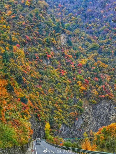 秋天的秦岭，深处满山红遍，绚丽多彩，惊艳着整个秋天！__财经头条