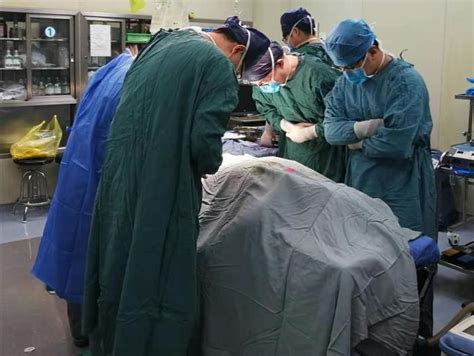 安徽大学21岁大学生病逝捐献器官救活至少5人 曾打算考研-闽南网