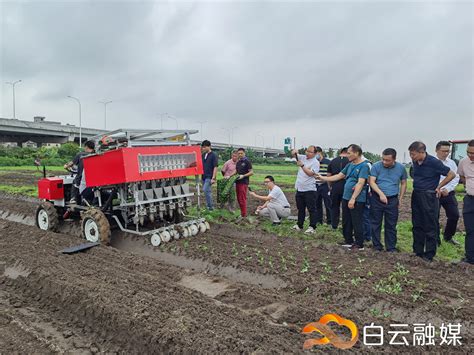 百人学习如何高效种菜！广州市蔬菜生产全程机械化推广培训在白云举行
